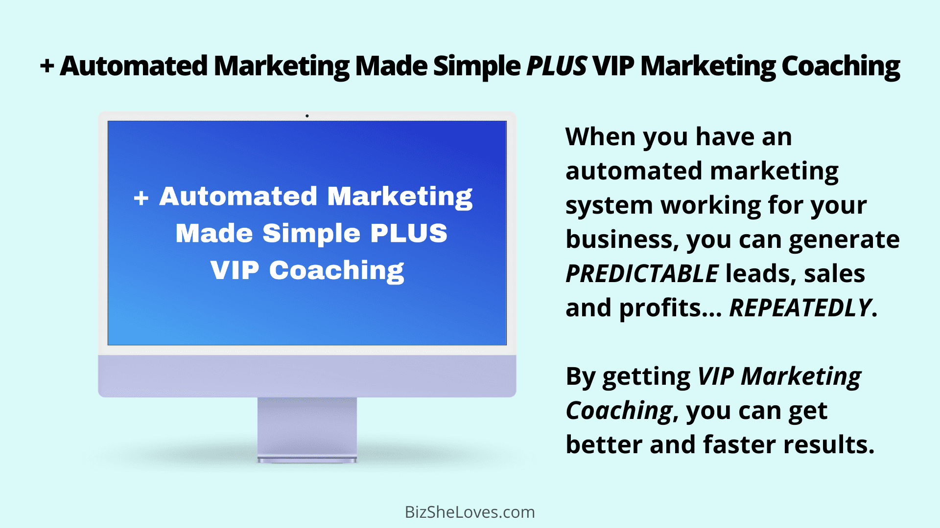 + Automated Marketing Made Simple PLUS VIP Marketing Coaching